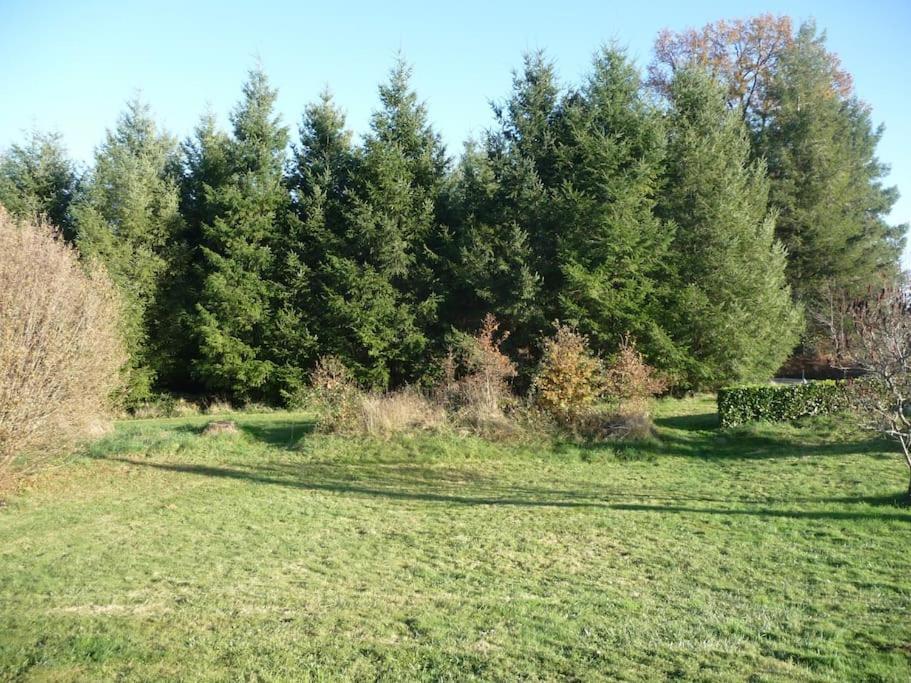 Gite Des Forces - Limousin - Haute Vienne Saint-Bazile Eksteriør bilde
